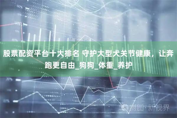 股票配资平台十大排名 守护大型犬关节健康，让奔跑更自由_狗狗_体重_养护