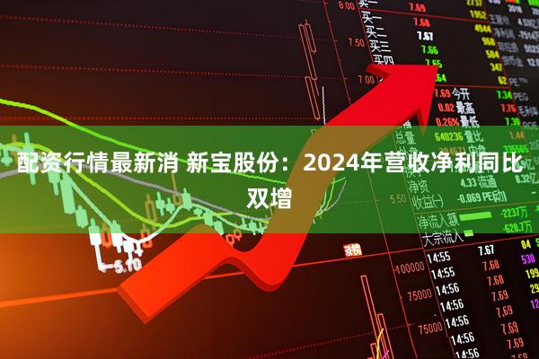 配资行情最新消 新宝股份：2024年营收净利同比双增