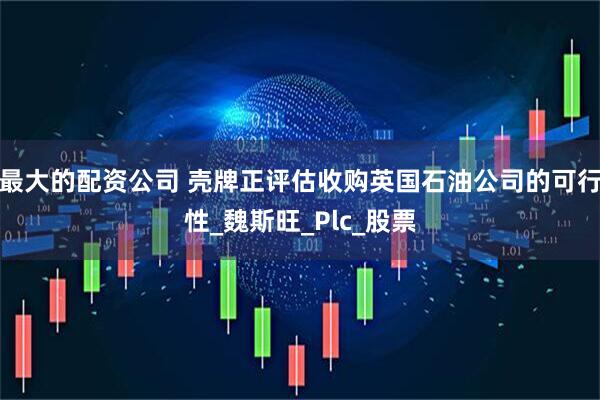 最大的配资公司 壳牌正评估收购英国石油公司的可行性_魏斯旺_Plc_股票